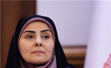 صادق: پروازهای اربعین در صورت صدور مجوز از عراق بیشتر می‌شود